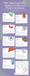 'The Nine Essential Amino Acids and Their Functions' showing the roles of Histidine, Isoleucine, Leucine, Lysine, Methionine, Phenylalanine, Threonine, Tryptophan, and Valine in the body, with each amino acid's function represented by accompanying icons such as muscles, brain, and energy symbols. The infographic is designed with soft pastel colors and clear sections, offering a summary and encouraging viewers to save or share the guide.